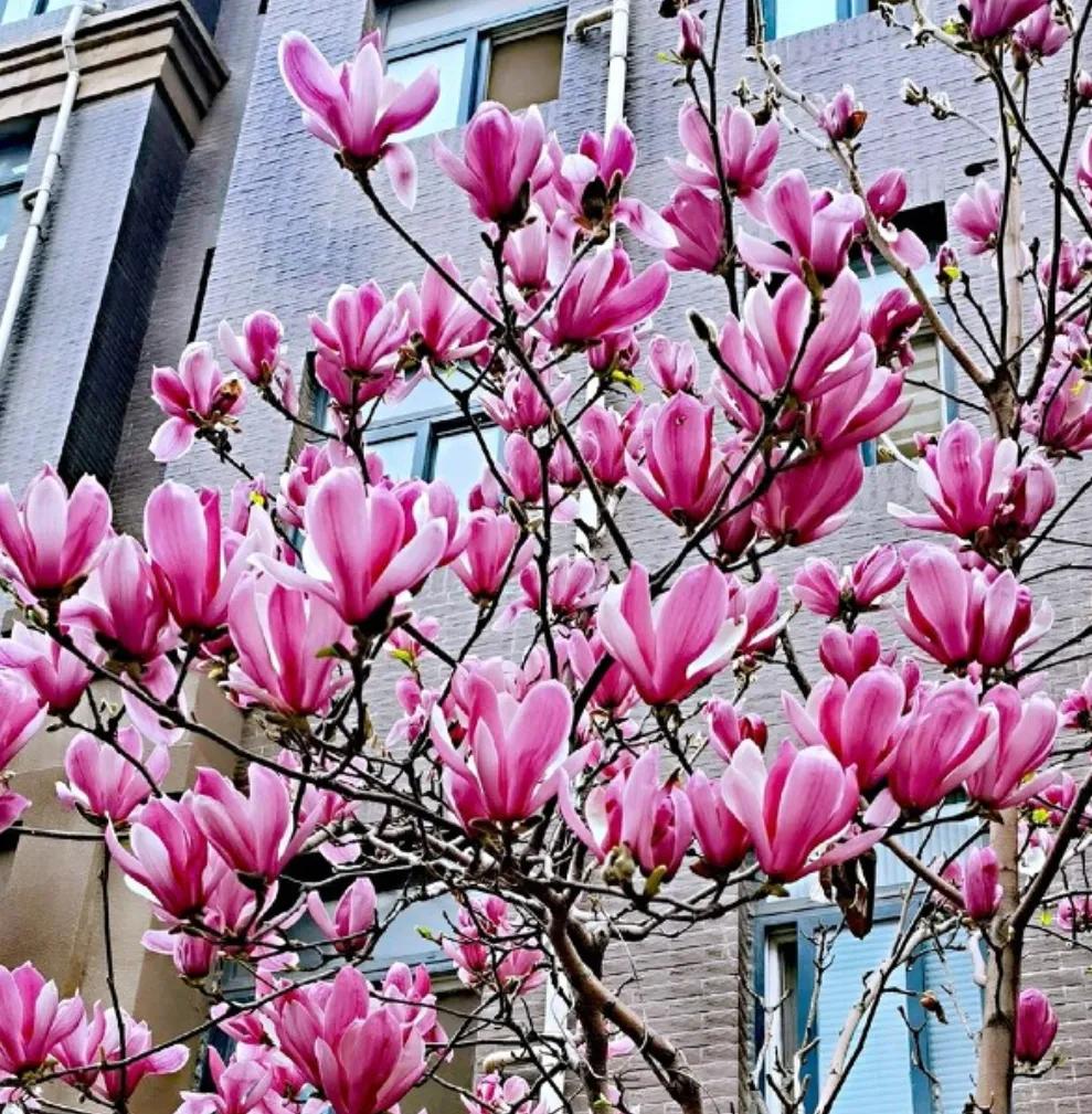 小时候治疗鼻炎吃什么药,小时候治鼻炎用黄色液体药叫什么