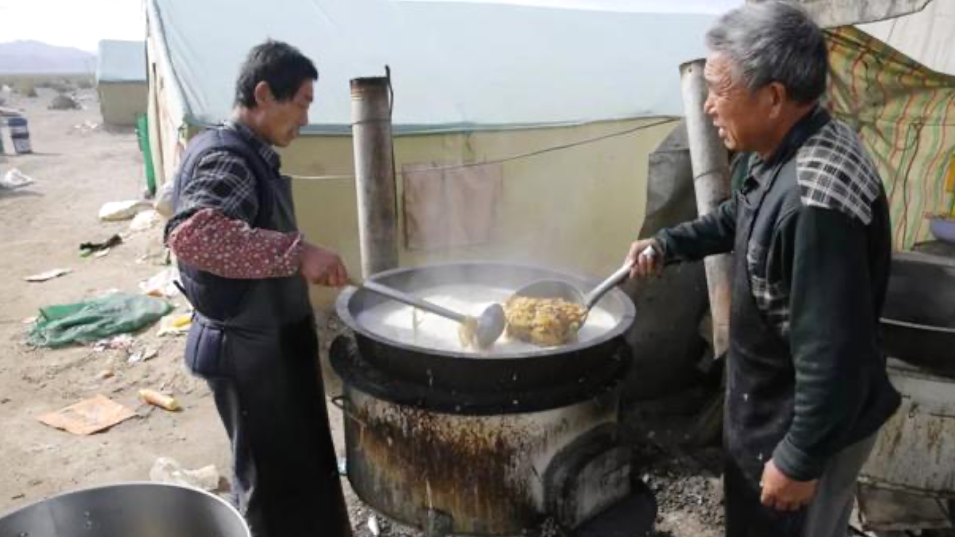 青藏高原诺木洪枸杞,青海诺木洪枸杞什么时候采摘结束