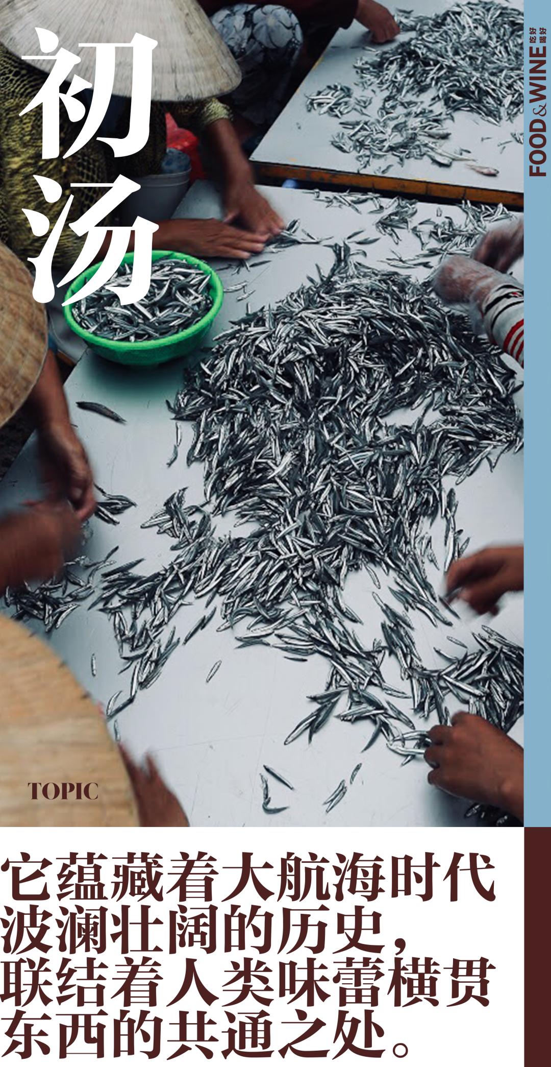 鱼露现代酿造,鱼露韩语怎么说