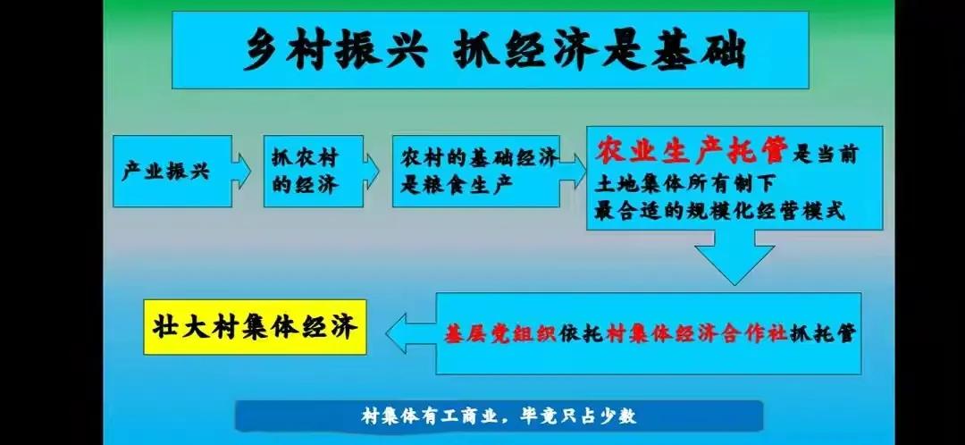 乡村振兴公益商业模式,乡村振兴的农业思路探讨