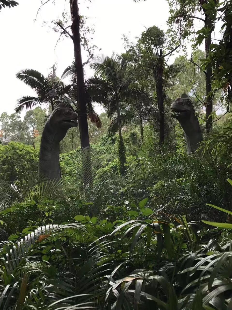 广州长隆野生动物世界有大象吗,广州长隆野生动物世界有多少动物