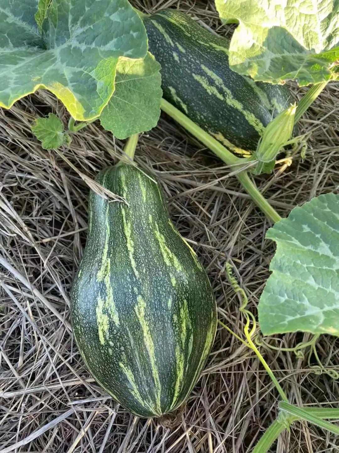 老汤创业,老汤生活记录