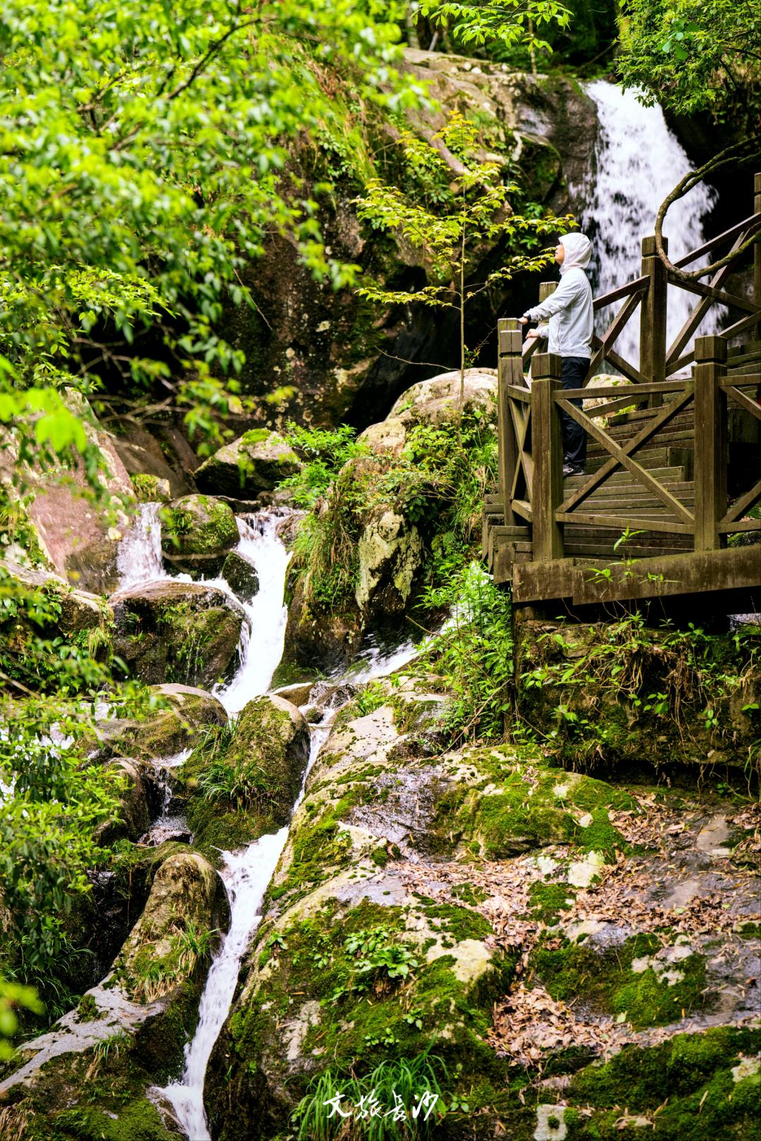 娴忛槼鐑熻姳鏃呰,鏄熷煄鏃呮父鏀荤暐