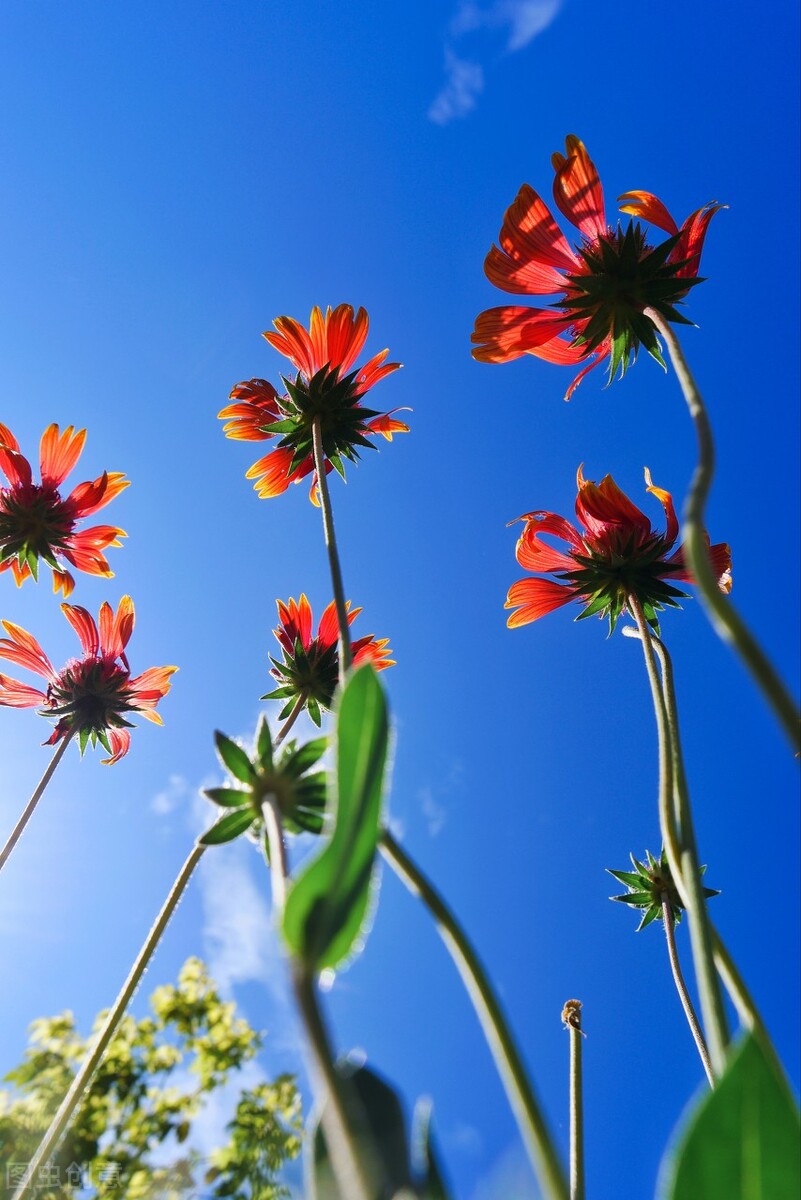 保持好身材的30个小妙招,保持苗条身材的四个小绝招