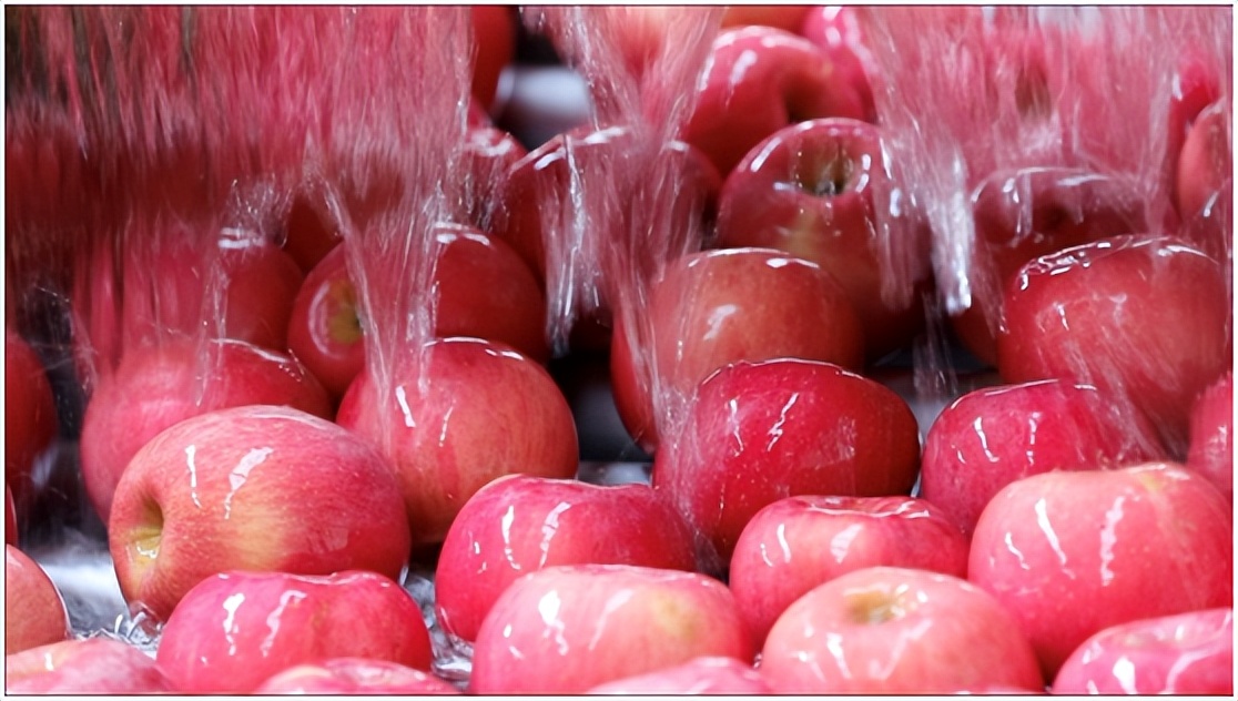 一年线上卖出1200多亩苹果，“95后”烟台女婿运营网店刷新纪录