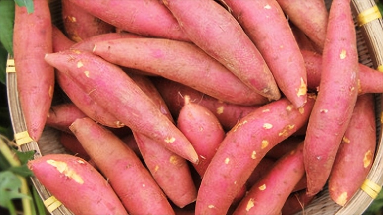 「品牌展播」中国地理标志农产品品牌展播（河南商丘篇-下）