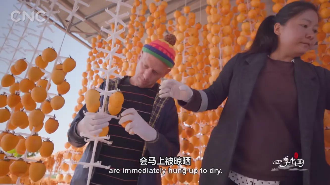 霜降有好柿，橘红色“灯笼”的变形记