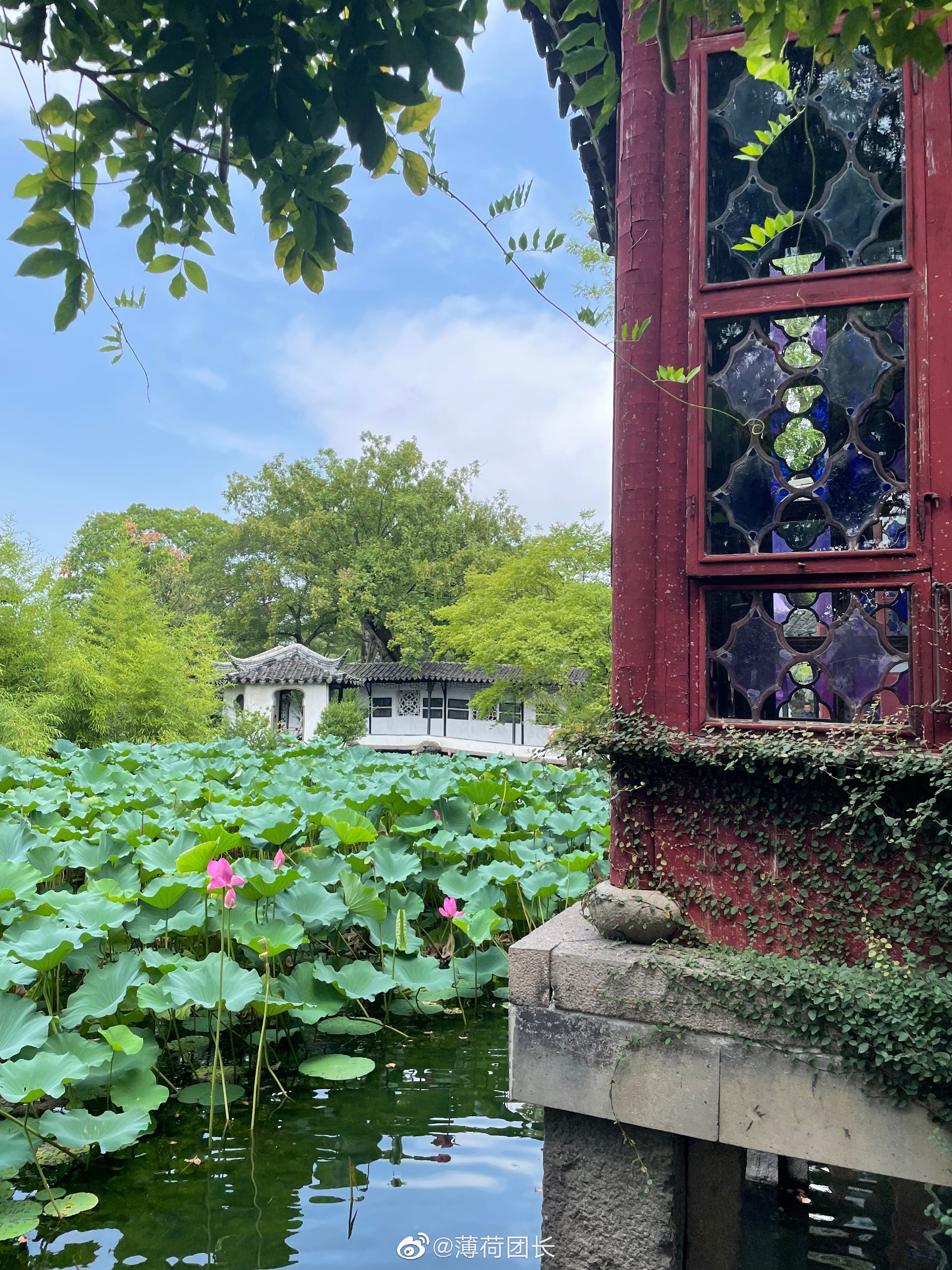 苏州园林之首拙政园一日游,苏州拙政园一日游