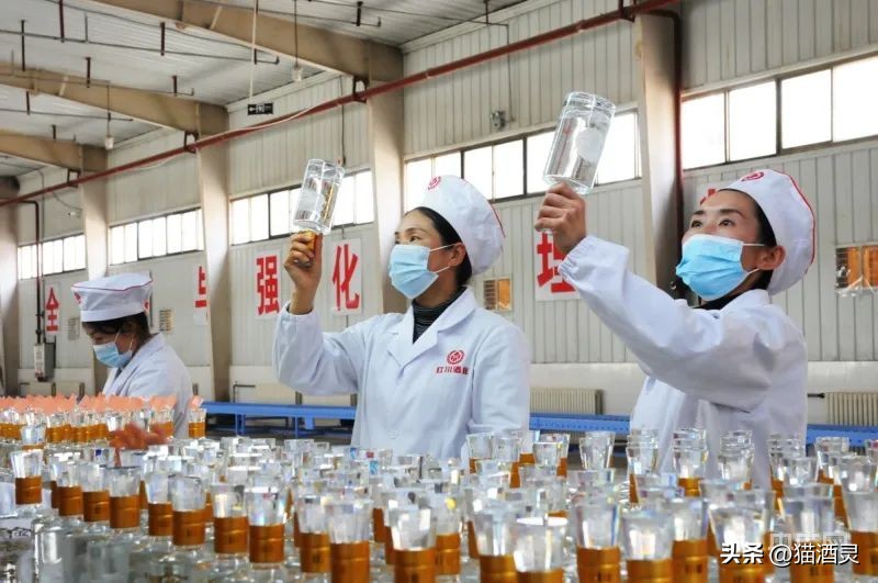 甘肃红川酒业有限公司工资,红川酒业2019年营收