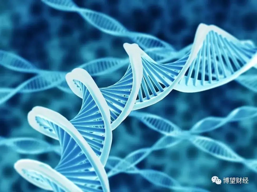 ipo上市当年亏损,荣盛生物上市