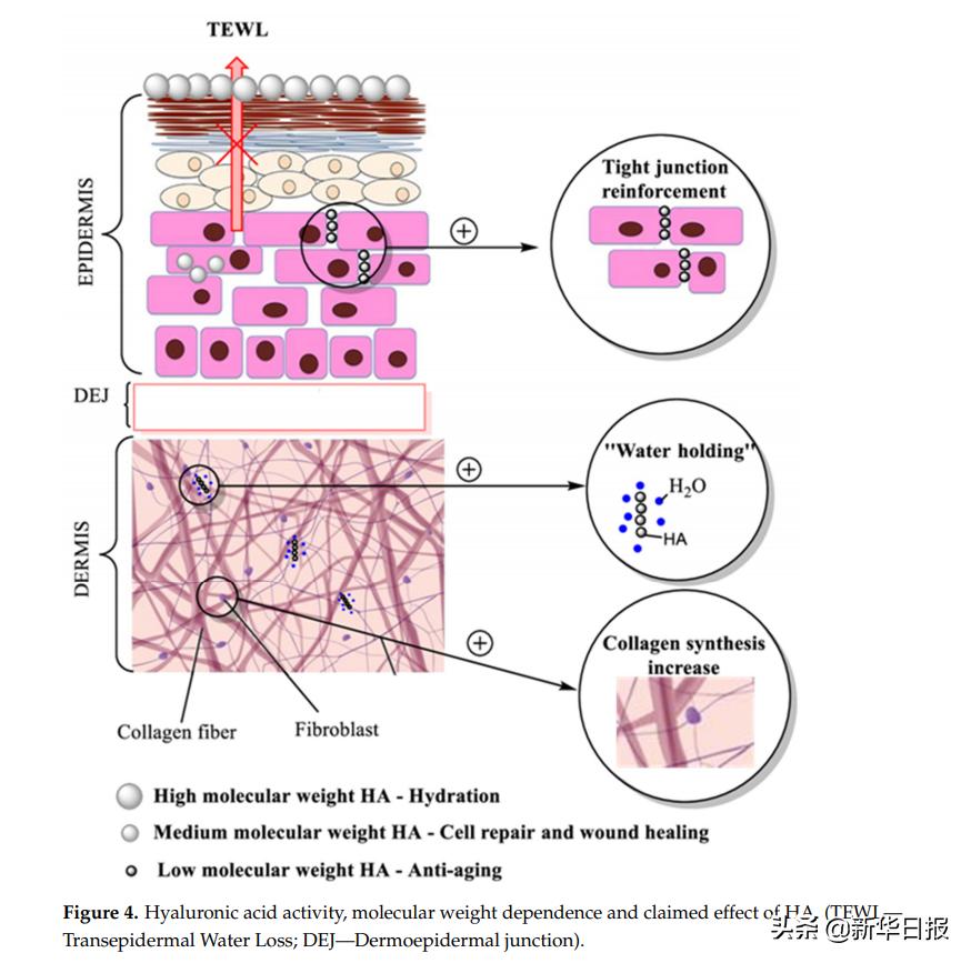 医用透明质酸对皮肤的作用,敏感性皮肤治疗专家共识