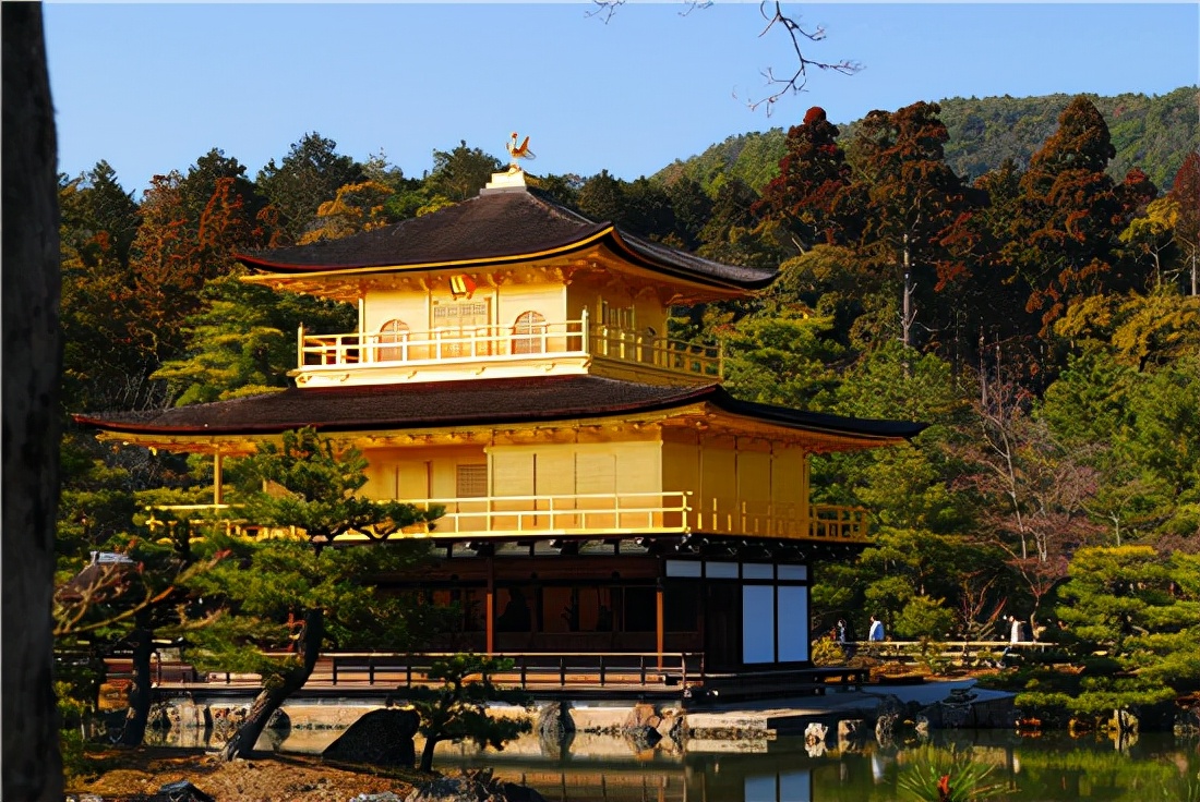 上市旅行社被列入失信人员,旅游董事长被查