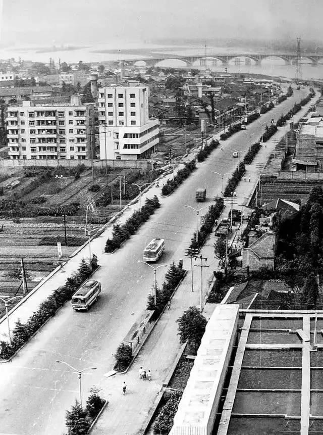 九十年代乐山老照片,七十年代四川乐山老照片