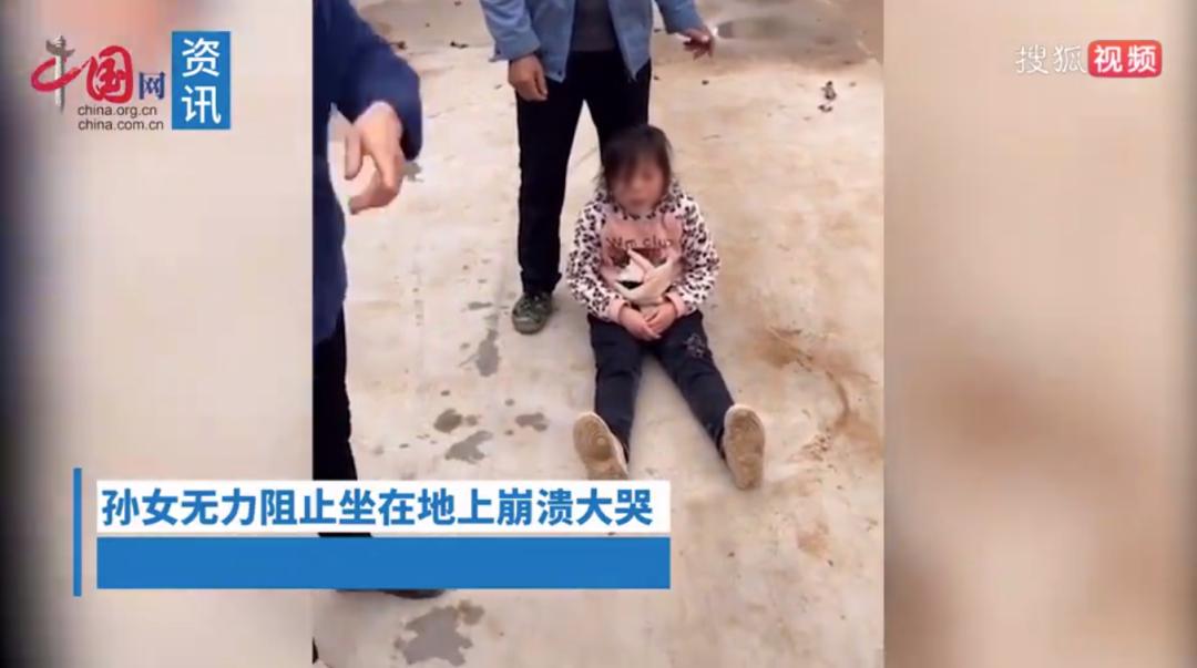 把孩子宠物煮熟来吃,还拍短视频博眼球?这种流量密码不要也罢