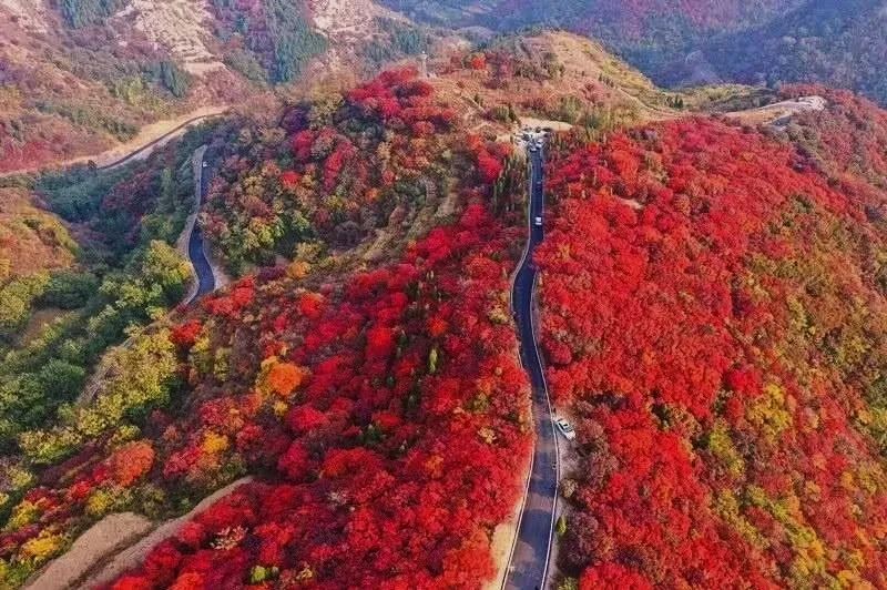 沂蒙乡村振兴学习感悟,乡村振兴看沂蒙专题