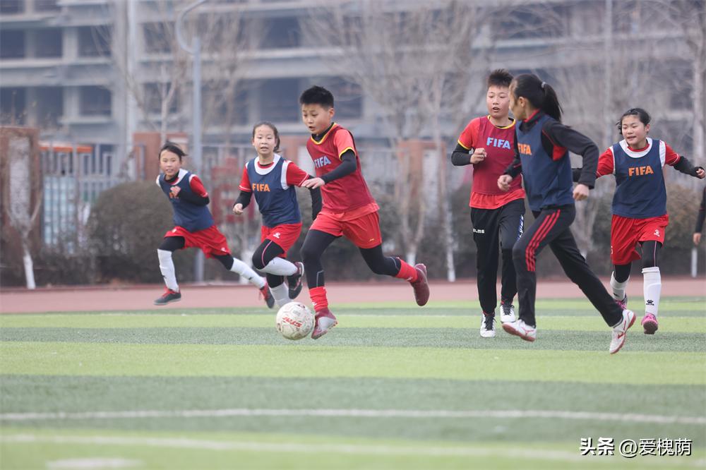 济南市槐荫区大金小学,济南大金小学