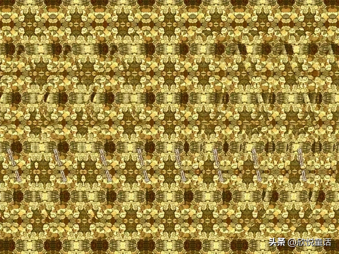 斑点狗正面照,斑点狗的真实资料