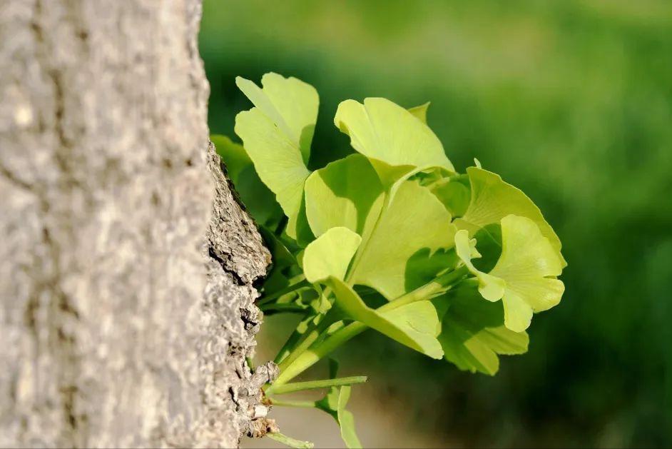 疫情后上海的发展前景如何,疫情过后的上海会怎么样