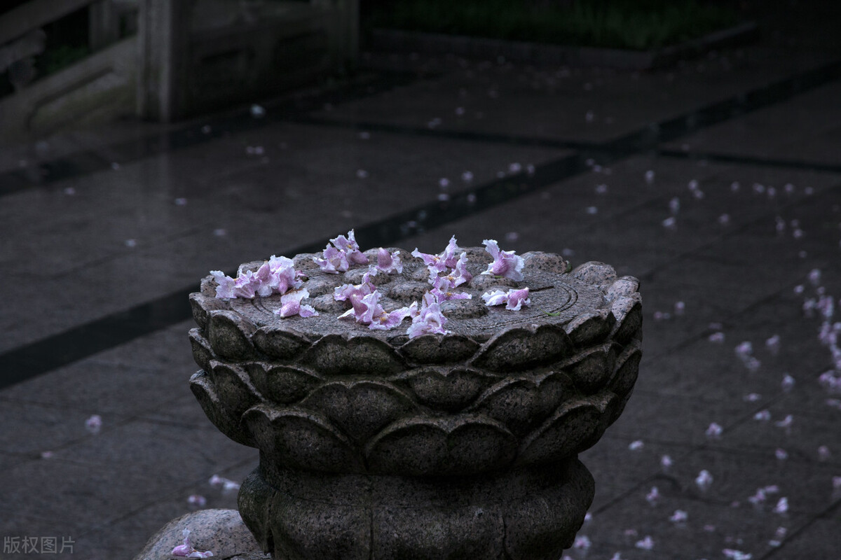 水瓶座长情且深情,水瓶座的深情与无情