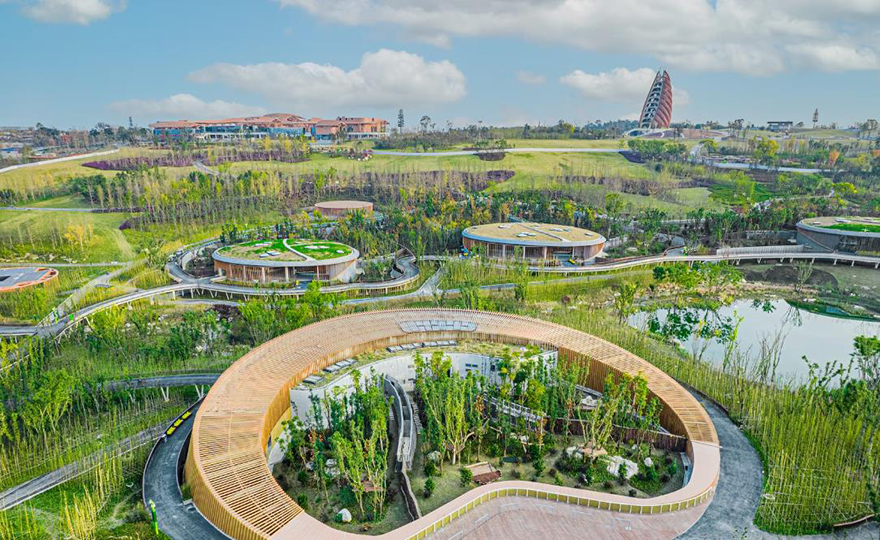 typology涓枃,typology