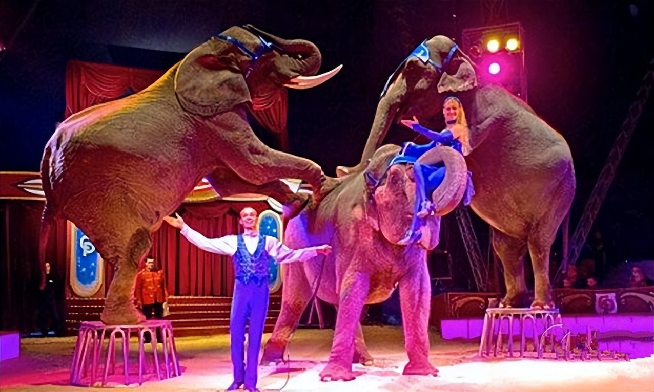 俄罗斯国粹国家大马戏,俄罗斯国粹芭蕾舞