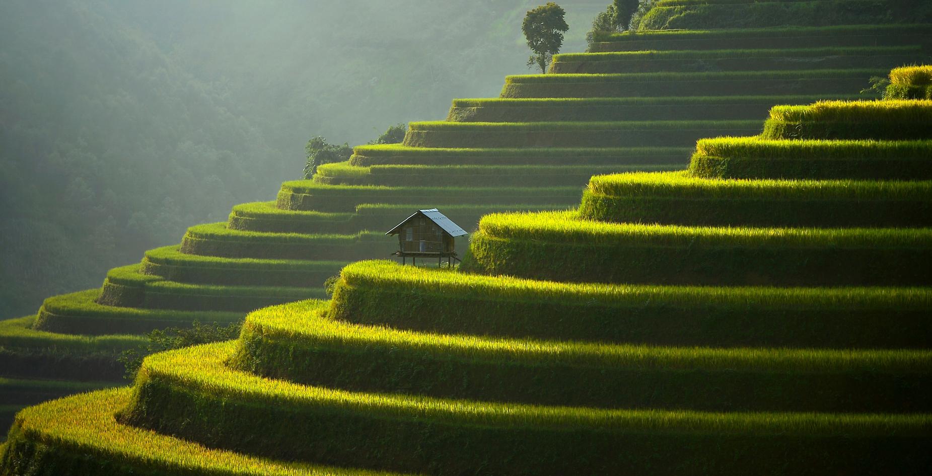 适合春夏的香水男士200,适合春夏的男士香水