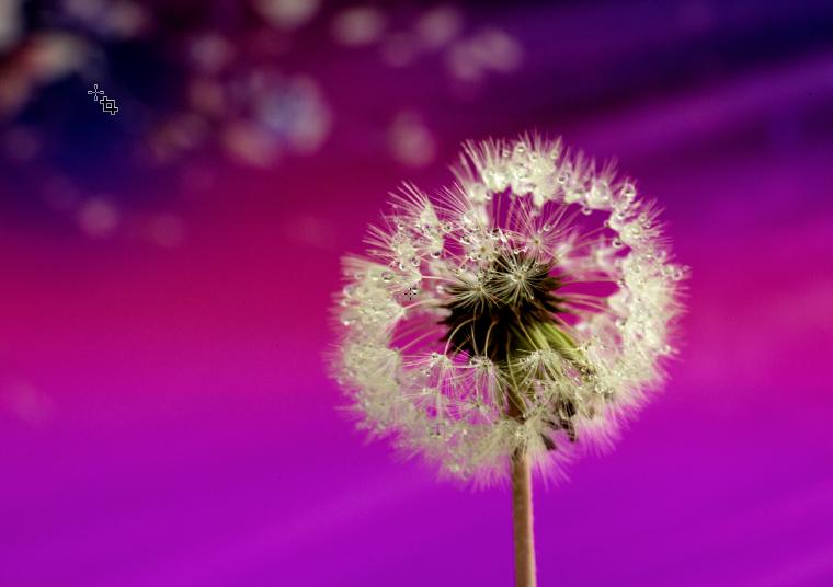 ps高级灰油画风景怎么调,ps莫兰迪高级灰最好教程