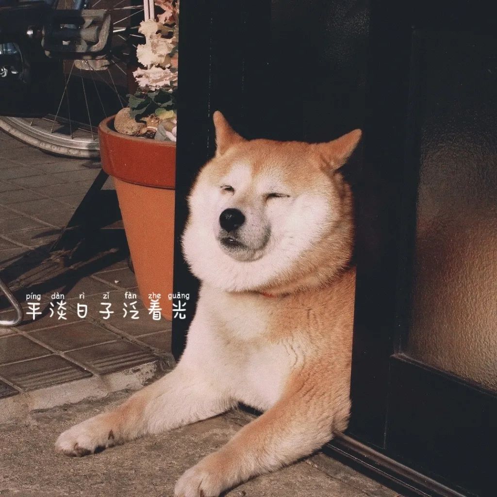 2022提升运气的微信头像意境,田姓氏微信头像图片大全2022