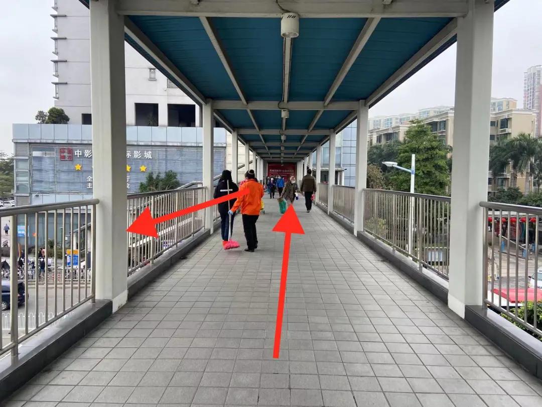 广州芳村花卉市场开市,广州岭南花卉天光墟开市时间