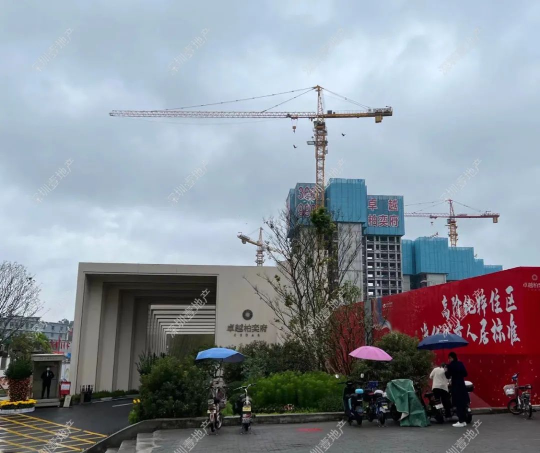 榫欏崕涔版埧鎸囧崡杩欎簺妤肩洏鍊煎緱鍏虫敞,娣卞湷榫欏崕涔版埧韪╅浄