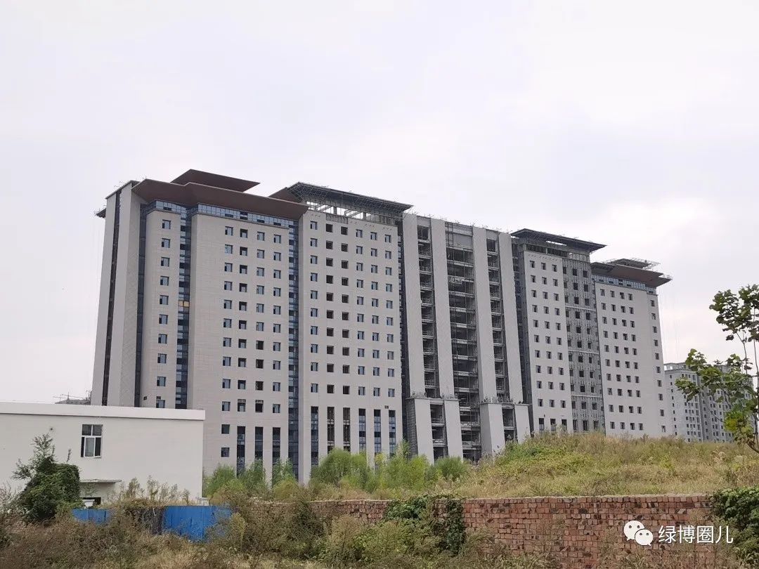 绿博真实现状,5年后绿博