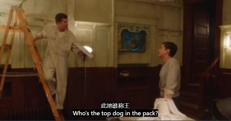 这届学生，开始在宿舍遛“纸狗”了