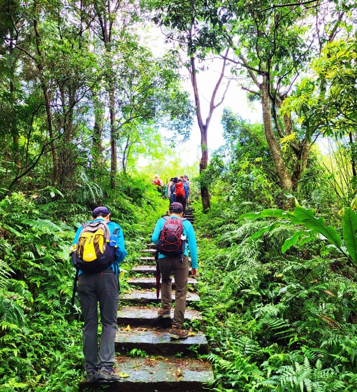 乐途登山鞋男款,lotto乐途登山鞋
