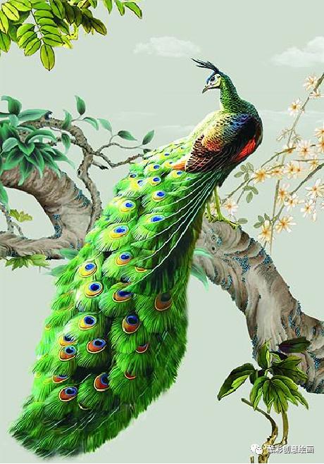 孔雀,孔雀王漫画全集