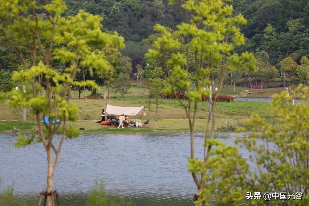 五一，光谷这些地方可以露营，还可以赏花、登山、看展……