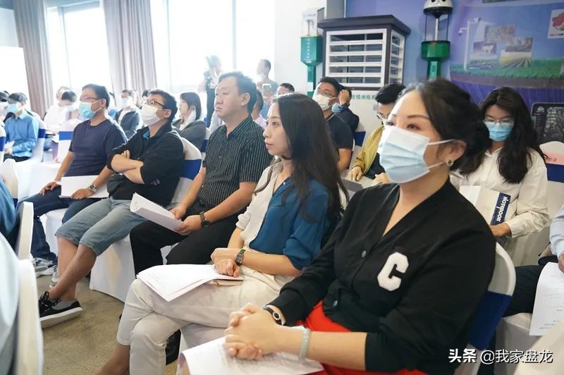 书记、区长营商记|共拓盘龙区文产企业“专精特新”发展沃土