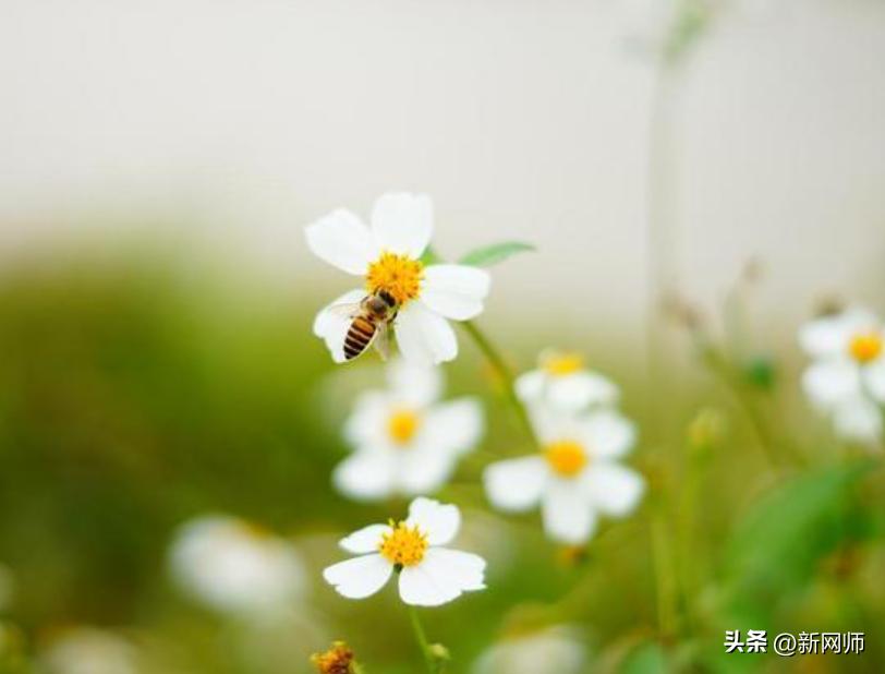 【新网师一日叙事20230405】赵健汝：安于当下，未来可期