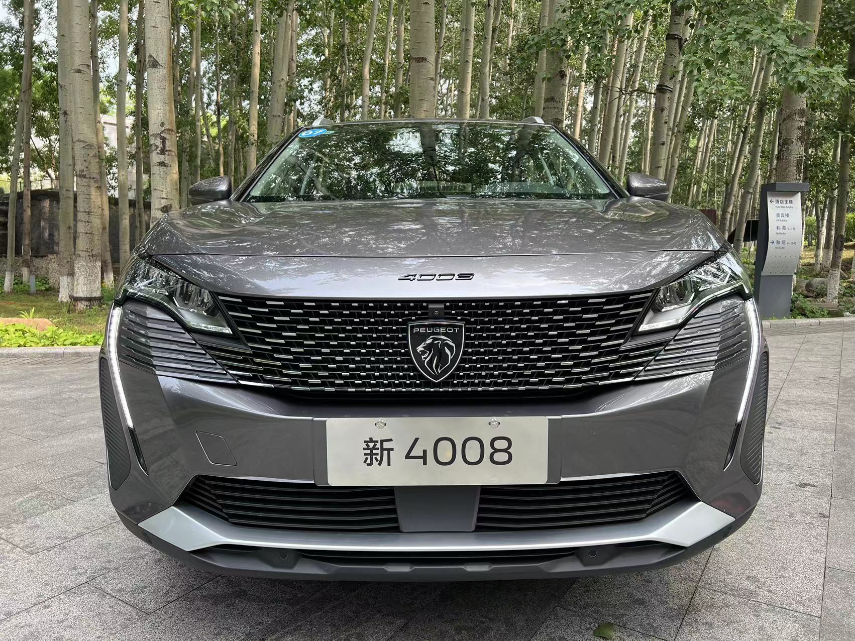 盾牌黑底狮子的车标,盾牌狮身车标