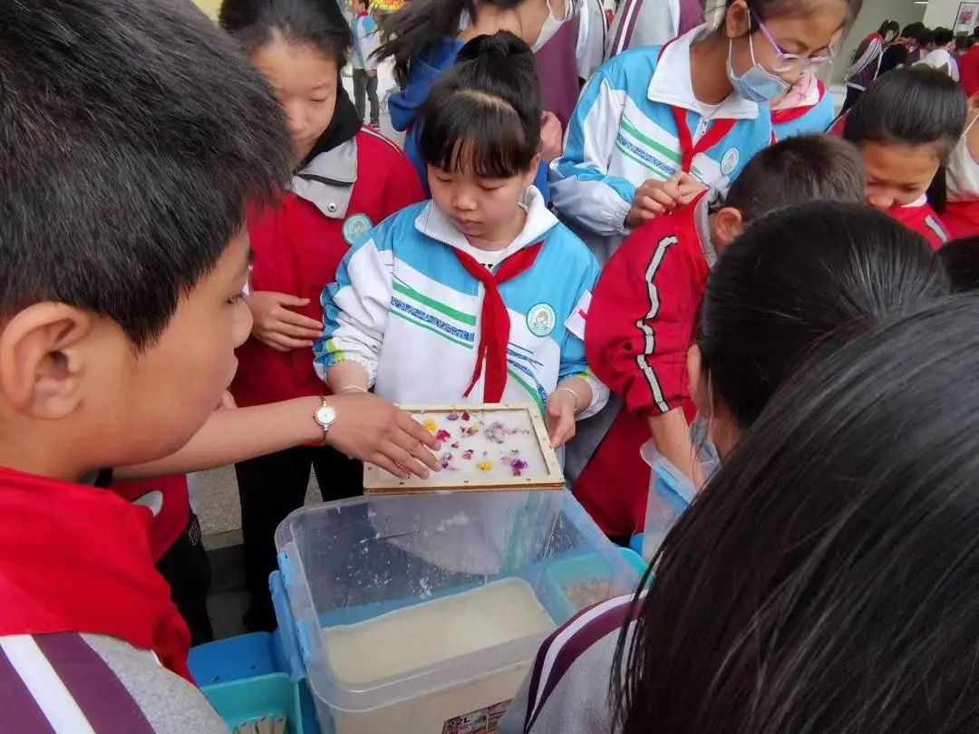 西安雁南小学科技节,西安庆华小学第三届科技节