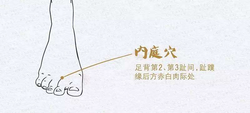 胃火大的人怎么调理,胃火大有什么表现