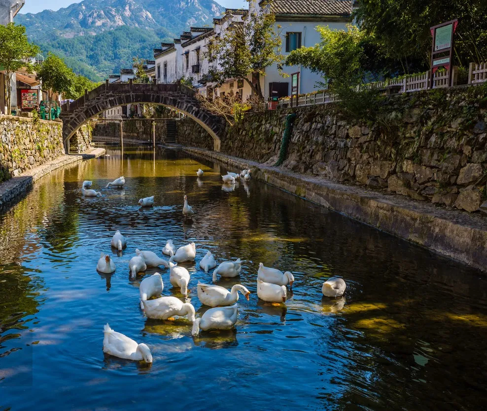 我为什么推荐你一定考北邮,我为什么建议你来北上广深奋斗