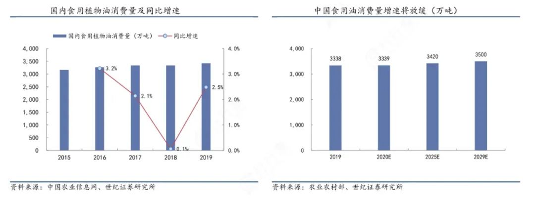 厨邦酱油布绿格子什么时候推出的,厨邦绿格子能注册吗