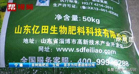 茶树肥害的原因及防治方法,茶树肥料施多了如何补救