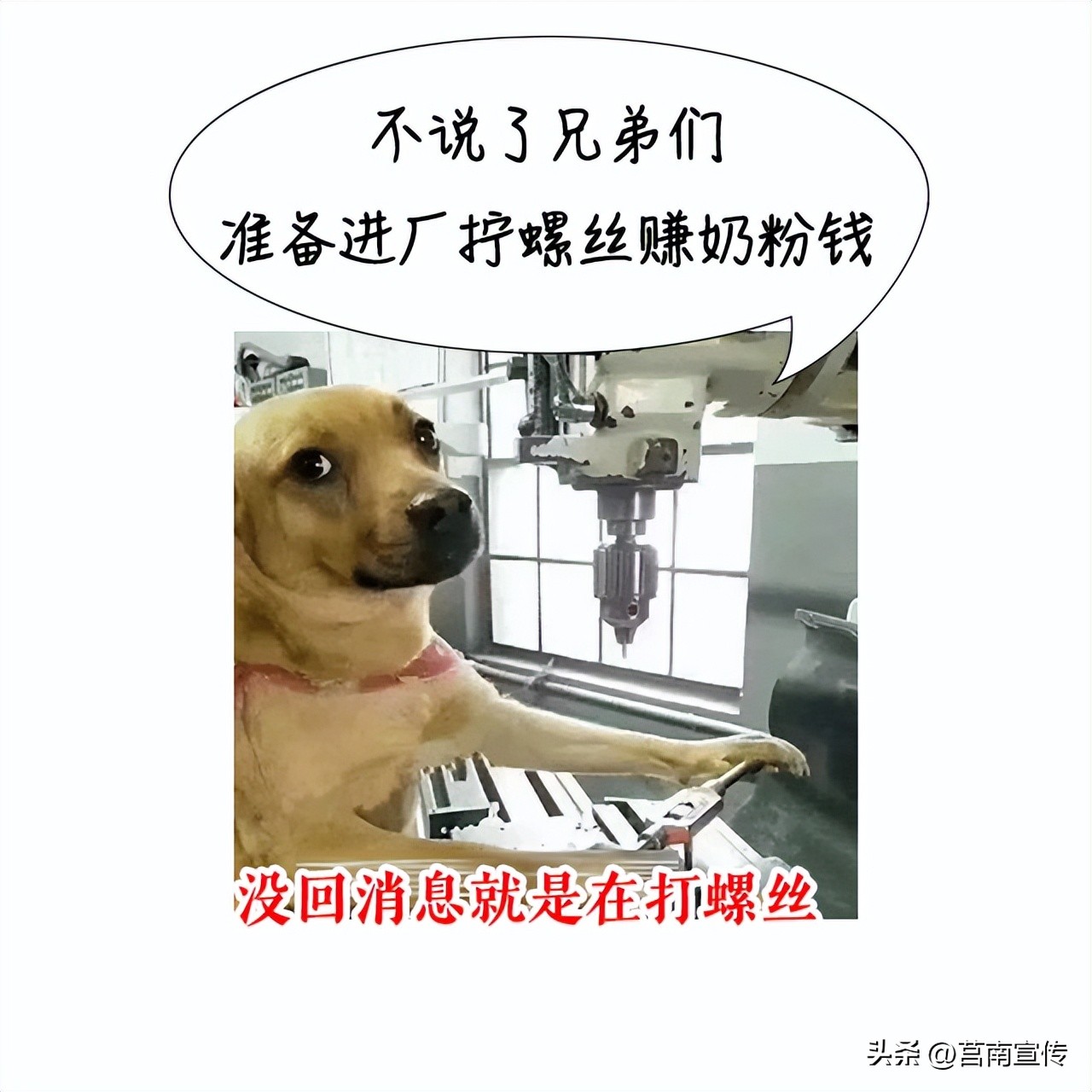 早产儿体重2斤能存活吗,不到两斤的早产儿能存活吗