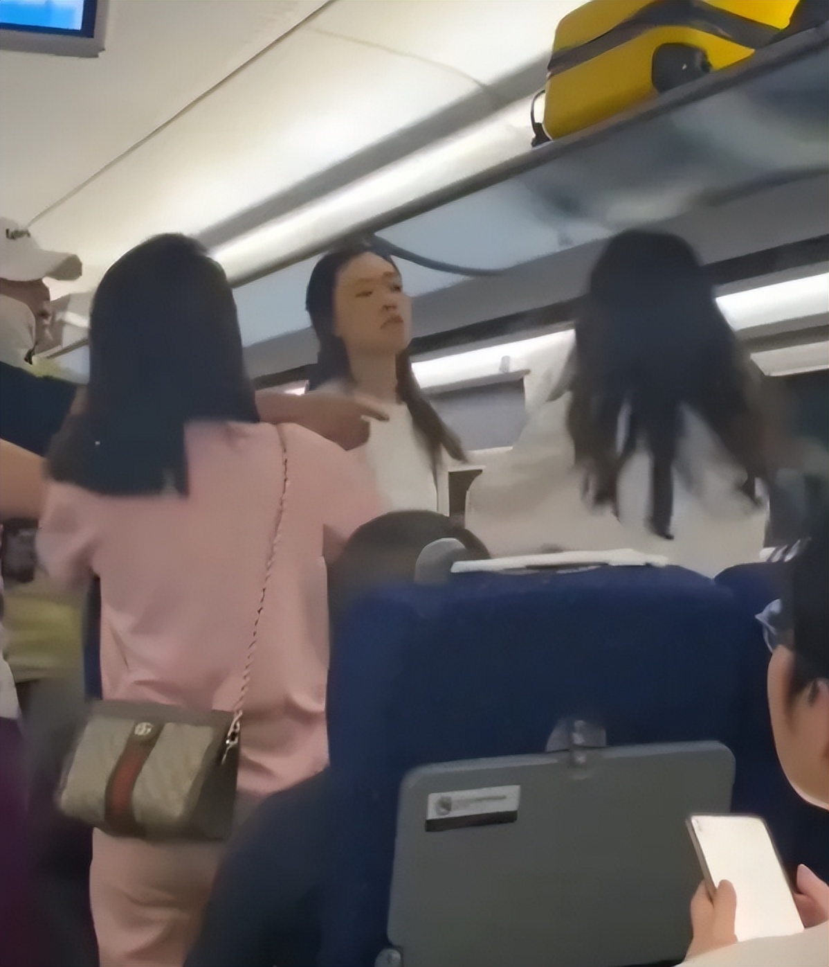 高铁母女俩打人后续报道,高铁打人母女视频