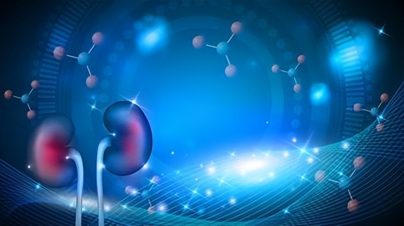 多吃三白对肾的危害,警惕肾不好要远离这三红食物