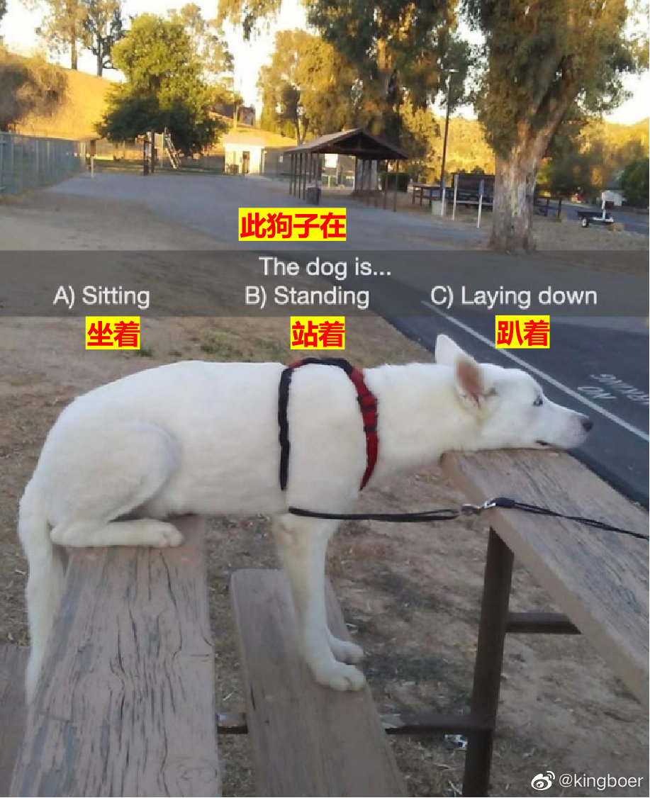 老谭他儿子,老谭儿子上哪所学校