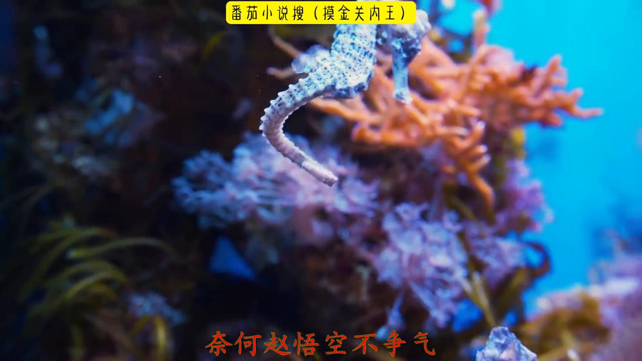 超爆小故事爱情,超爆小故事和校霸谈恋爱