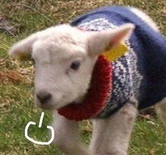 让老板无法拒绝的请假理由,给单位请假领导无法拒绝的理由