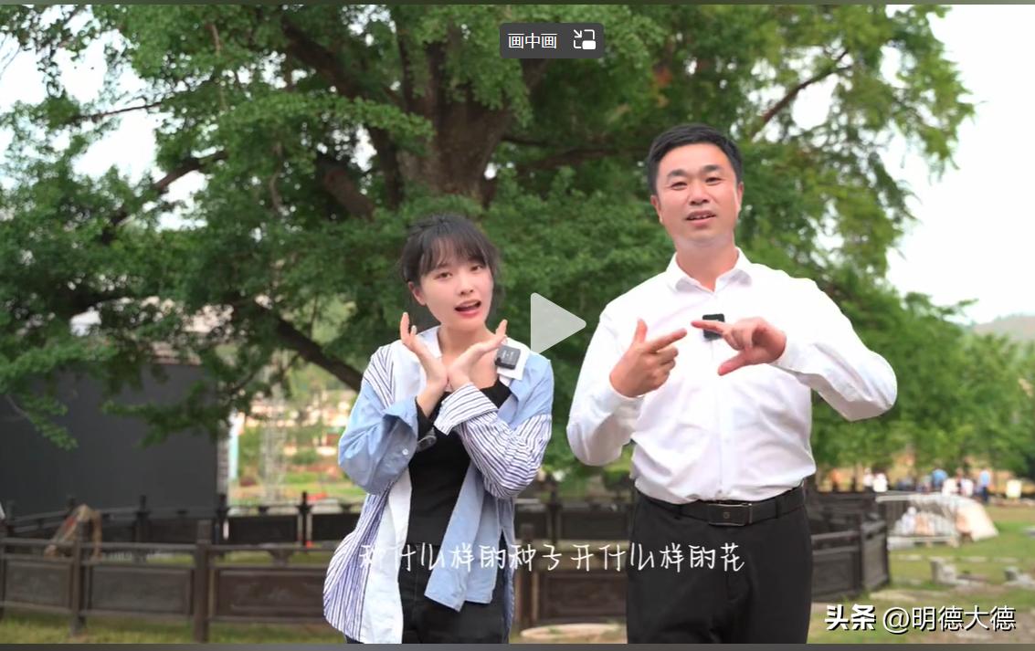 挖呀挖是谁,挖呀挖是谁的